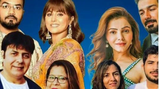 Meet the Cast of Pati Patni Aur Panga