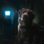 Good Boy Trailer Analysis